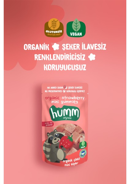 Organik Glutensiz Vegan Çilekli Mini Küpler - 30G