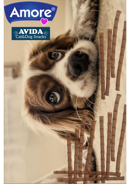 Köpek Ödül Çubuğu 16-Dog-Salmon-Sticks Somonlu, Mantı Ağız Sağlığı Atıştırmalık Mini-Dental