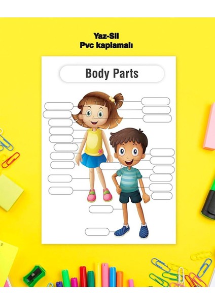 Body Parts Ingilizce Yaz-Sil Pvc Kaplamalı Tekli Poster 30X42 cm