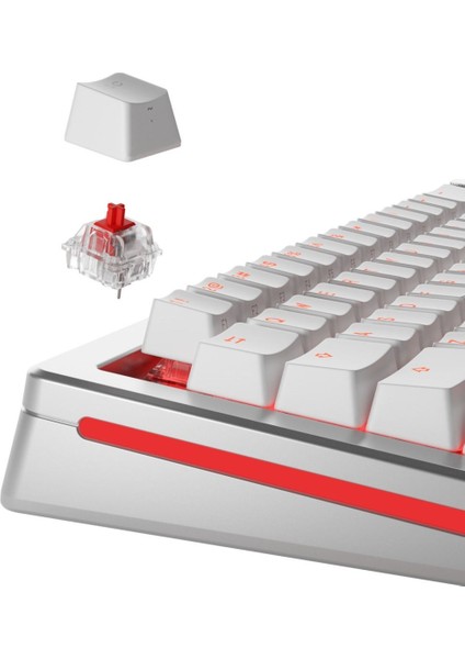 Fox Mekanik Yağlı Klavye Switch 110 Adet