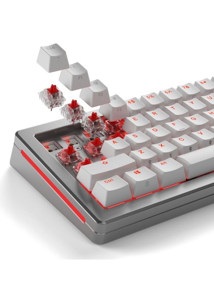 Fox Mekanik Yağlı Klavye Switch 110 Adet
