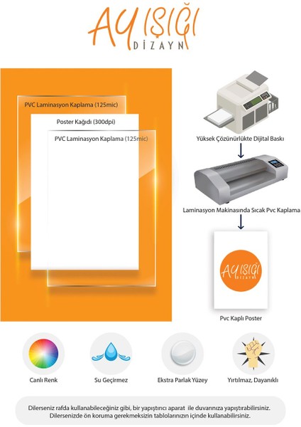 Ingilizce 8'li Eğitim Seti-2 Set Okul Öncesi - Ilköğretim Çocuk Pvc Poster 21X30 cm