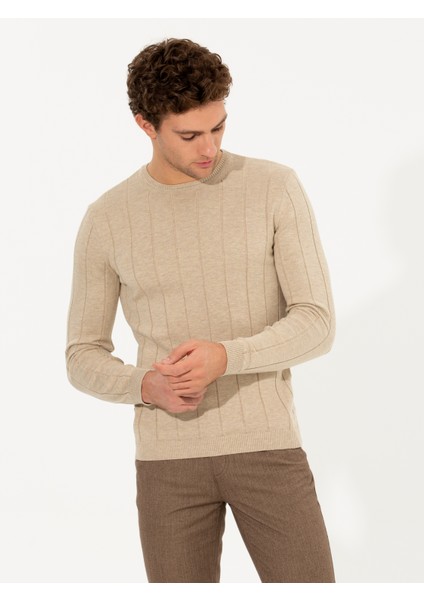 Erkek Ekru Regular Fit Pamuk Karışımlı Bisiklet Yaka Triko Kazak 50257389-VR019