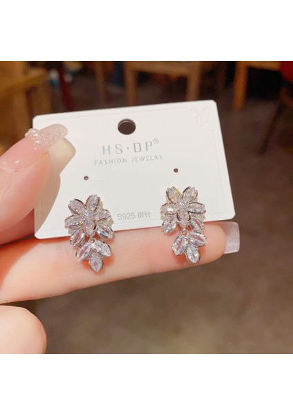 Satisfactionpopüler 925 Gümüş Iğne Küpe Klasik Geometrik Uzun Püskül Küpe (Yurt Dışından)