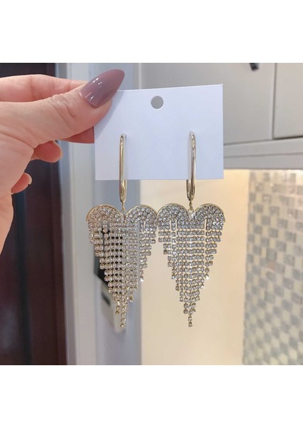 Satisfactionüst Düzey ve Atmosferik Internet Ünlü Mizaç Küpeleri Avrupa ve Amerikan Modası Abartılı Elmas Taklidi Uzun Püskül Küpeler (Yurt Dışından)