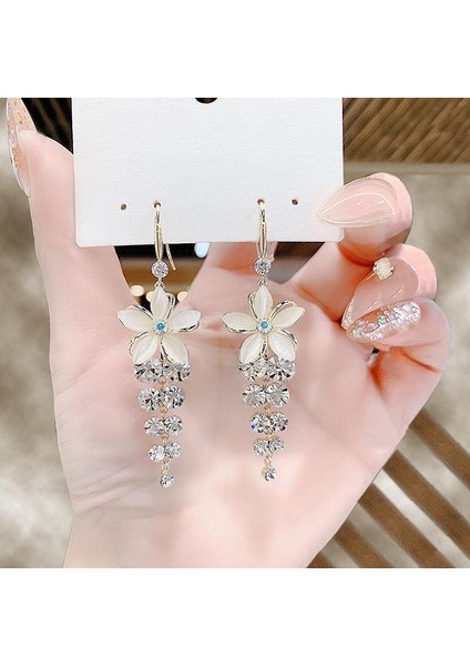 Satisfactionmoda Kedi Gözü Elmas Küpe Kadın Ilkbahar ve Yaz Ince Yeni Stil Işık Lüks High-End Küpe (Yurt Dışından) fırsatları