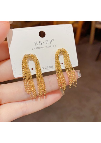 Satisfactionpopüler 925 Gümüş Iğne Küpe Klasik Geometrik Uzun Püskül Küpe (Yurt Dışından)