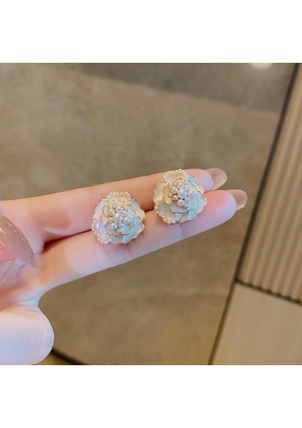 Satisfactionyeni Zarif Küpeler, Popüler Internet Ünlü Küpeleri, Üst Düzey Küpeler, Kişiselleştirilmiş Moda Küpeler (Yurt Dışından)