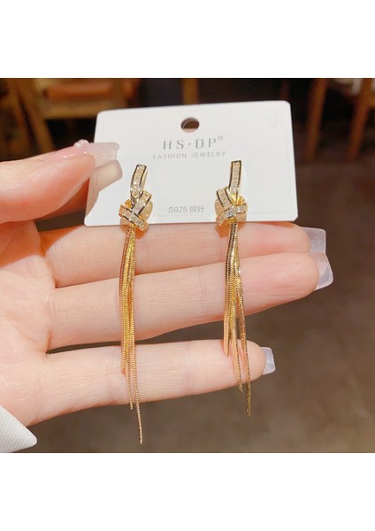 Satisfactionpopüler 925 Gümüş Iğne Küpe Klasik Geometrik Uzun Püskül Küpe (Yurt Dışından)