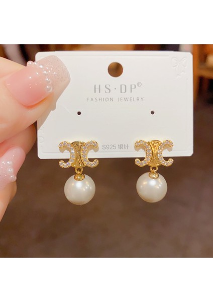 Satisfactionpopüler 925 Gümüş Iğne Küpe Klasik Geometrik Uzun Püskül Küpe (Yurt Dışından)