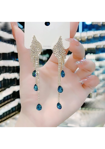 Satisfactionüst Düzey ve Atmosferik Internet Ünlü Mizaç Küpeleri Avrupa ve Amerikan Modası Abartılı Elmas Taklidi Uzun Püskül Küpeler (Yurt Dışından)