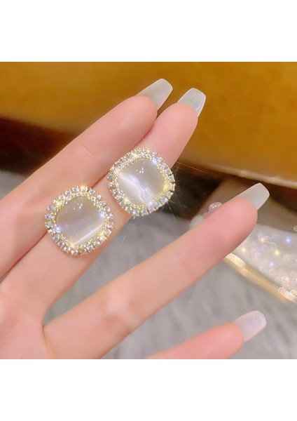 Satisfactionyeni Zarif Küpeler, Popüler Internet Ünlü Küpeleri, Üst Düzey Küpeler, Kişiselleştirilmiş Moda Küpeler (Yurt Dışından)