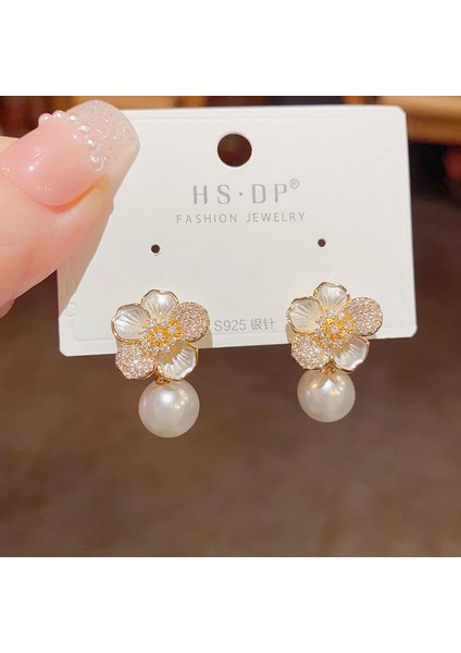 Satisfactionpopüler 925 Gümüş Iğne Küpe Klasik Geometrik Uzun Püskül Küpe (Yurt Dışından)