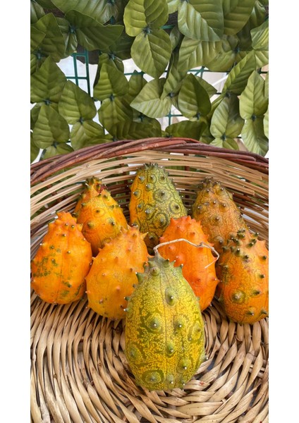 Kiwano (Boynuzlu Kavun)