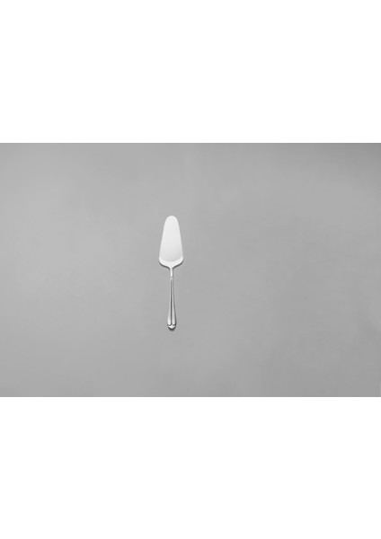 Saray Sade 8 Parça Servis Takımı fiyatları