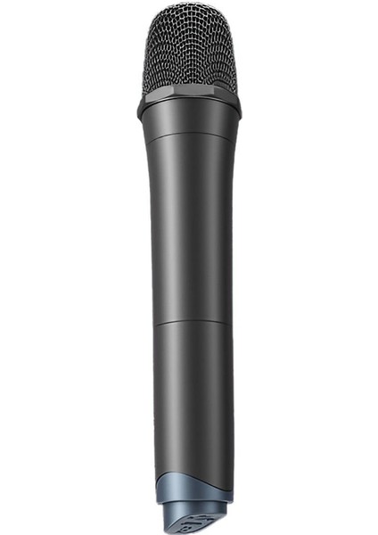Ez.mi2 Handheld Mic | Dual-Channel True Diversity Wireless Microphone System