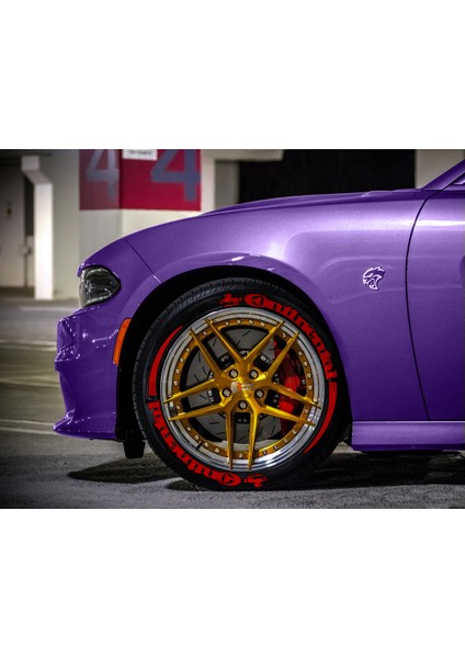 Continental + Şerit Lastik Yazısı 8 adet Araç Lastik Stikeri Tüm Lastik Yanaklarına Uyumlu Büyük Boy