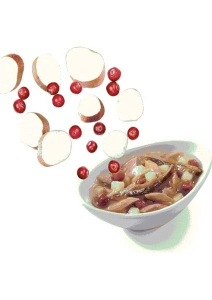 Salads Poke Ton, Hamsi, Tatlı Patates, Yaban Mersinli Kedi Salatası 85gr fiyatları