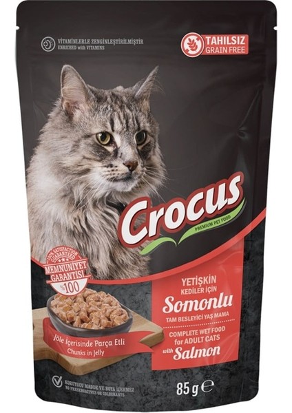 Tahılsız Somonlu Jöleli Pouch Kediler için Yaş Mama 85 G