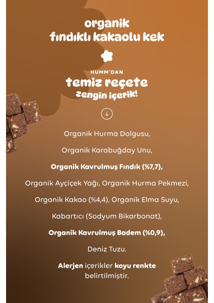 Organik Glutensiz Vegan Kakaolu ve Fındıklı Kek Atıştırmalık Paketi - 6 Adet