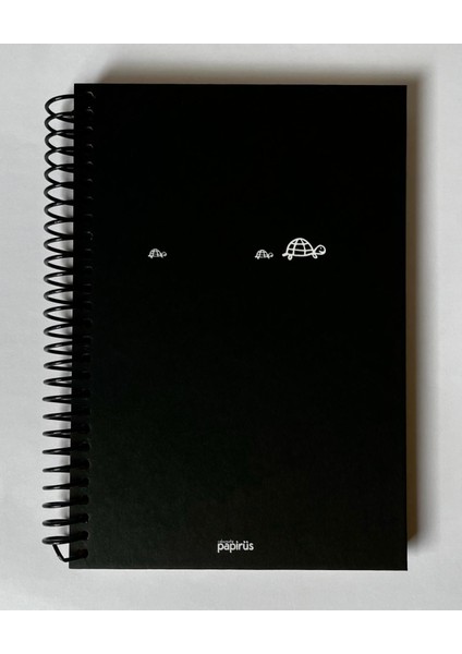 Mini Serisi Kareli Defter, Spiralli, Sert Kapaklı, 16X23CM, 100 Yaprak