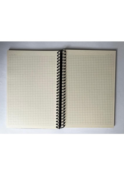Mini Serisi Kareli Defter, Spiralli, Sert Kapaklı, 16X23CM, 100 Yaprak