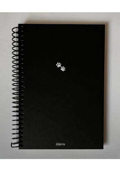 Mini Serisi Kareli Defter, Spiralli, Sert Kapaklı, 16X23 Cm, 100 Yaprak