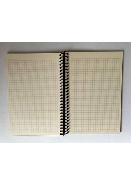 Mini Serisi Kareli Defter, Spiralli, Sert Kapaklı, 16X23 Cm, 100 Yaprak