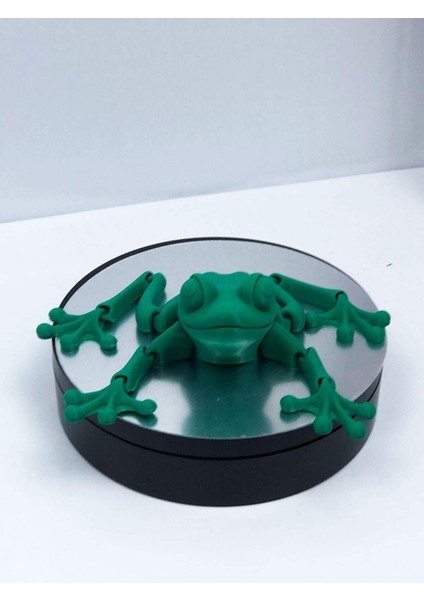 3D Hareketli Kurbağa Figürlü Oyuncak - Yeşil