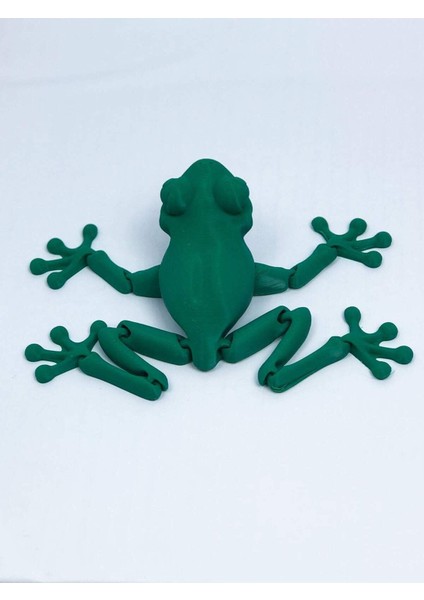 3D Hareketli Kurbağa Figürlü Oyuncak - Yeşil