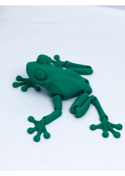 3D Hareketli Kurbağa Figürlü Oyuncak - Yeşil