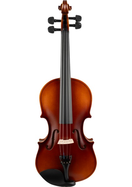 VB-290 4/4 Öğrenci Keman