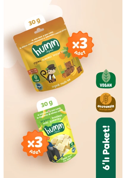 Organik Glutensiz Vegan Muzlu Atıştırmalık Paketi - 6 Adet (2 Çeşit)