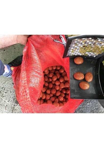 Pratiko CKS80 Rendeli Ceviz Soyma Makinesi 90 Litre