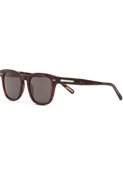 Cr 80038 C2 Kare Havana Erkek Güneş Gözlüğü