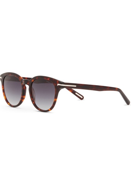 Cr 80029 C2 Oval Havana Erkek Güneş Gözlüğü