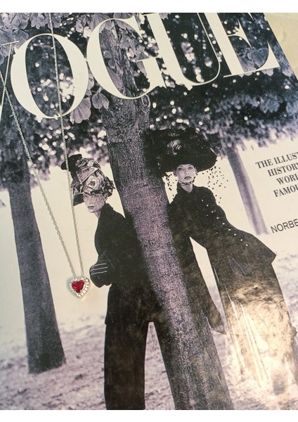 Swaroski Taş Kalp Gümüş Kolye