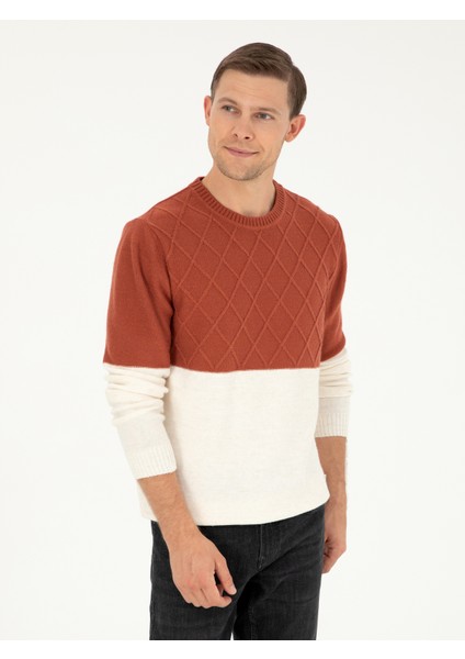 Erkek Kiremit Slim Fit Bisiklet Yaka Baklava Desenli Triko Kazak 50292568-VR031