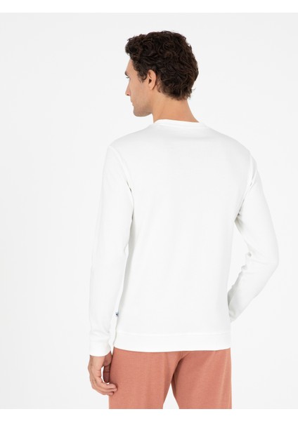 Erkek Ekru Sweatshirt 50296883-VR019