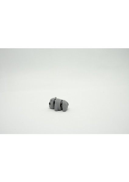 Su Aygırı Bebek 3D Hareketli Model