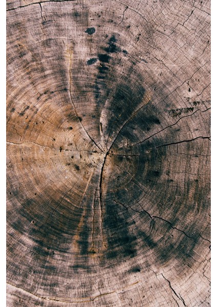 Harikabirev|pembe Rose-Gold Soyut Yaprak Çiçek Kombin |çerçeveli Cam Tablo 3lü Dikey fırsatları