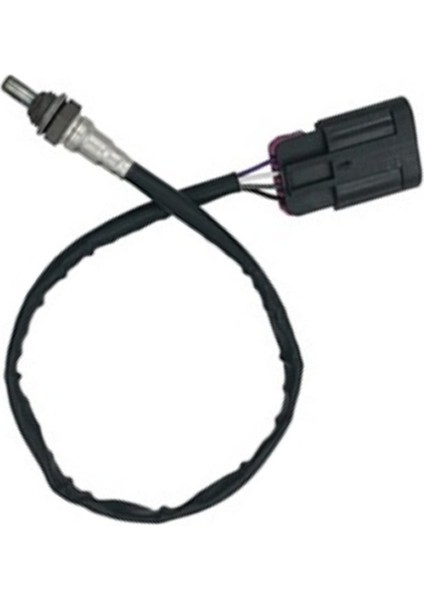 Oksijen Sensörü Rks Spontini 110