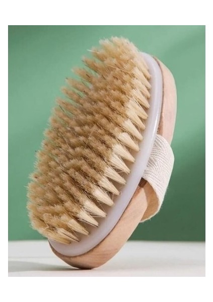 DOĞAL AT KILI SELÜLIT FIRÇASI modelleri