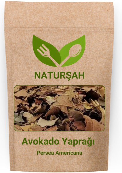 Avokado Yaprağı Persea Americana 1 kg