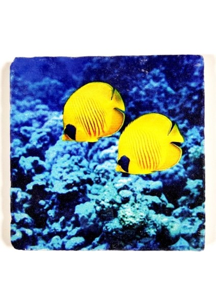 Doğal Taş Dekoratif Banyo Gider Kapağı Süsü 10x10 cm