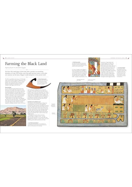 Ancient Egypt The Definitive Visual History (Ciltli)