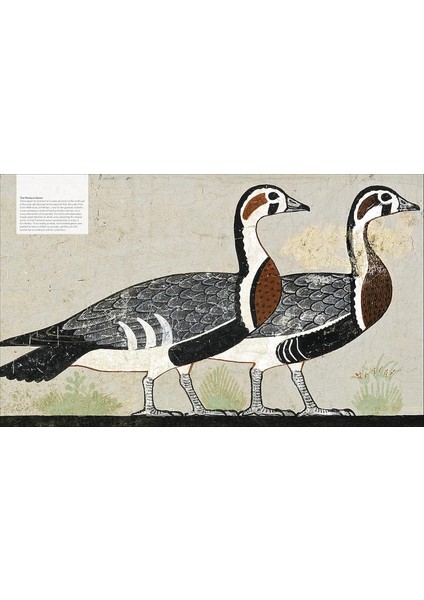 Ancient Egypt The Definitive Visual History (Ciltli)