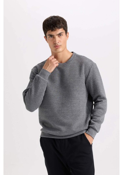 Gri Regular Fit Bisiklet Yaka Jakarlı Sweatshirt D5392AX24AU