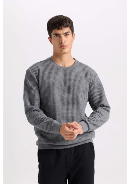 Gri Regular Fit Bisiklet Yaka Jakarlı Sweatshirt D5392AX24AU