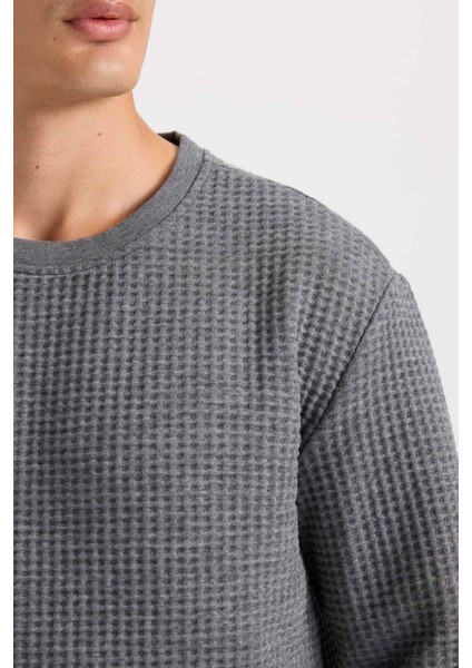Gri Regular Fit Bisiklet Yaka Jakarlı Sweatshirt D5392AX24AU
